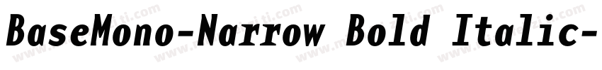 BaseMono-Narrow Bold Italic字体转换